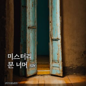 미스터리 - 문 너머의 순간들