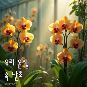 유리 온실 속 빛나는 난초 - 햇살을 머금은 우아한 감성 플라워 아트